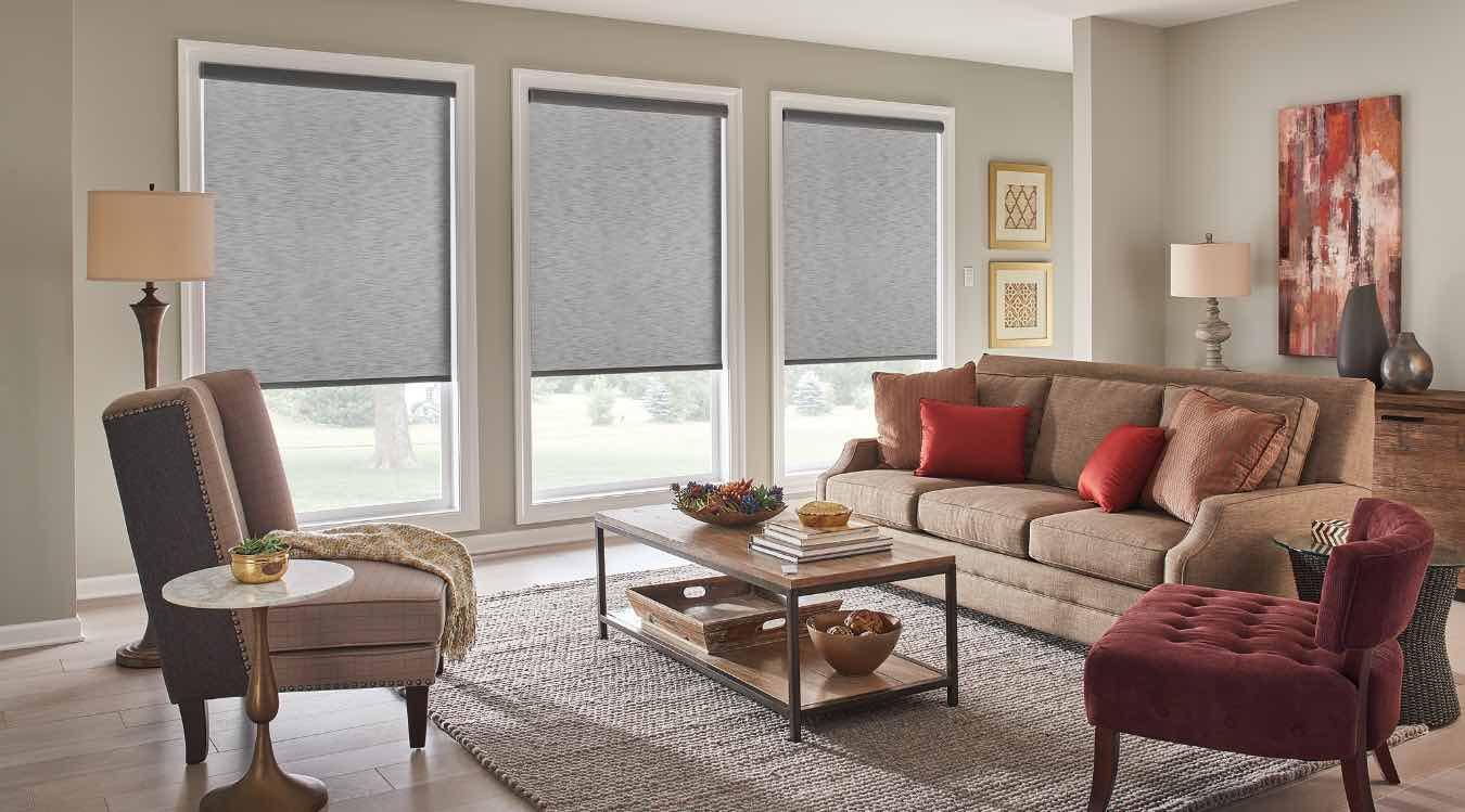 Roller shades in living room