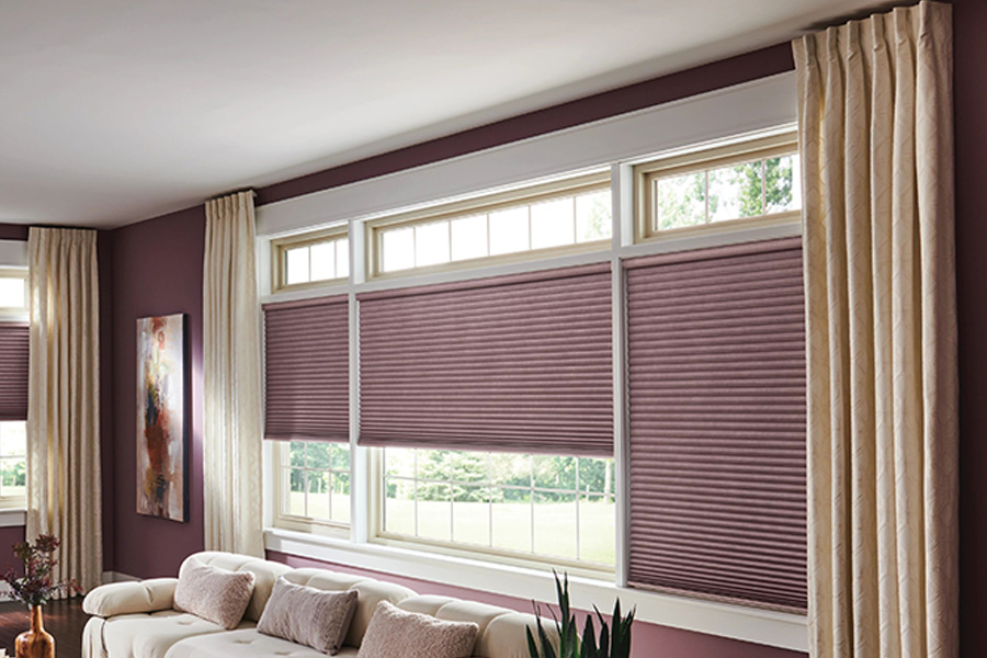 Pick your favorite color from your living room decor and get window shades to match. Mauve window shades on living room windows