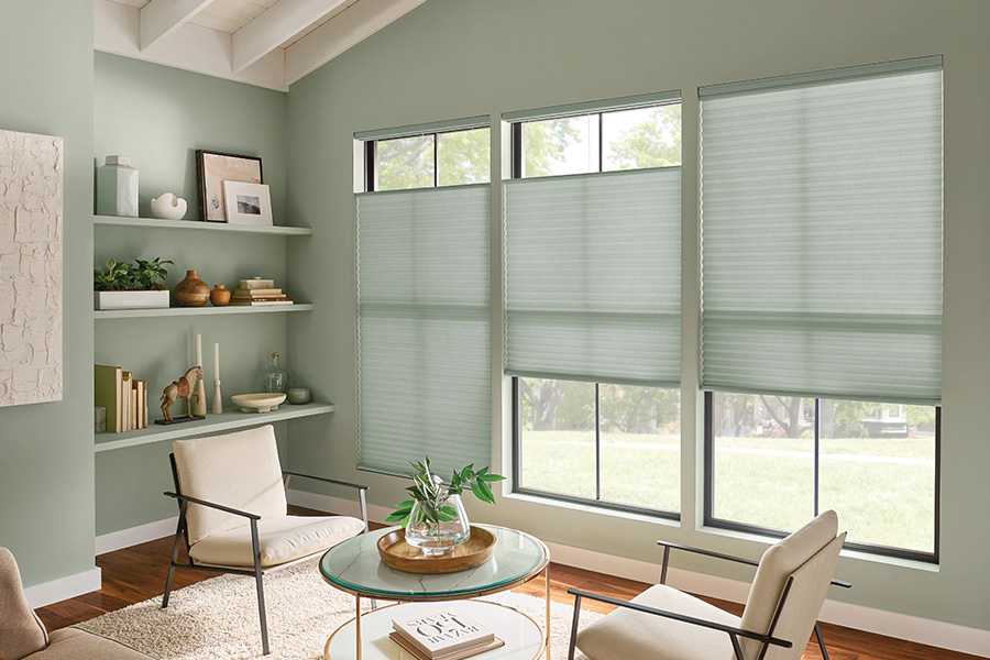 Use top-down/bottom up window shades to strike the right balance of illumination and privacy. Green cellular shades on windows in a green living room